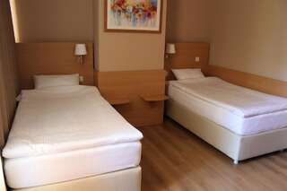 Отель Alpen Hotel Святогорск Двухместный номер с 2 отдельными кроватями-2